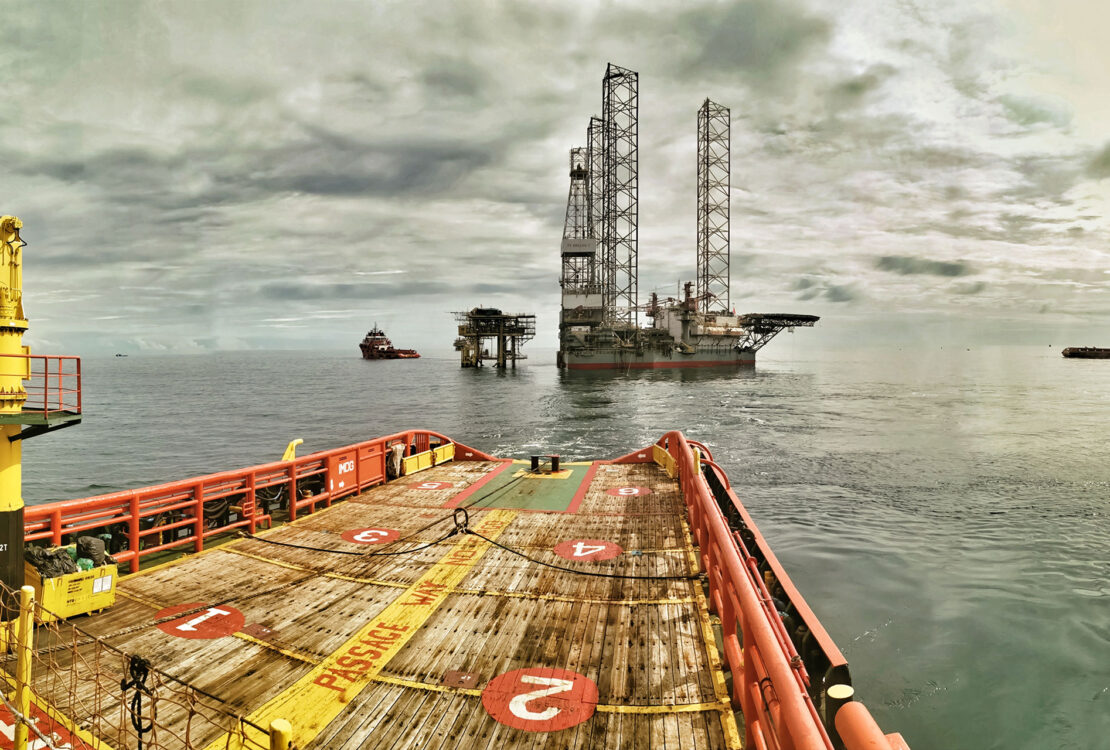 Product Life Expectancy Study & Life Cycle Supports